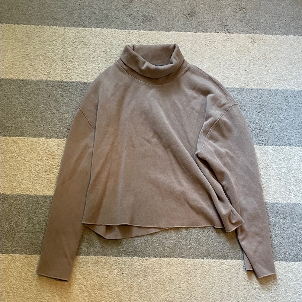 Zara Cropped Turtleneck Sweater